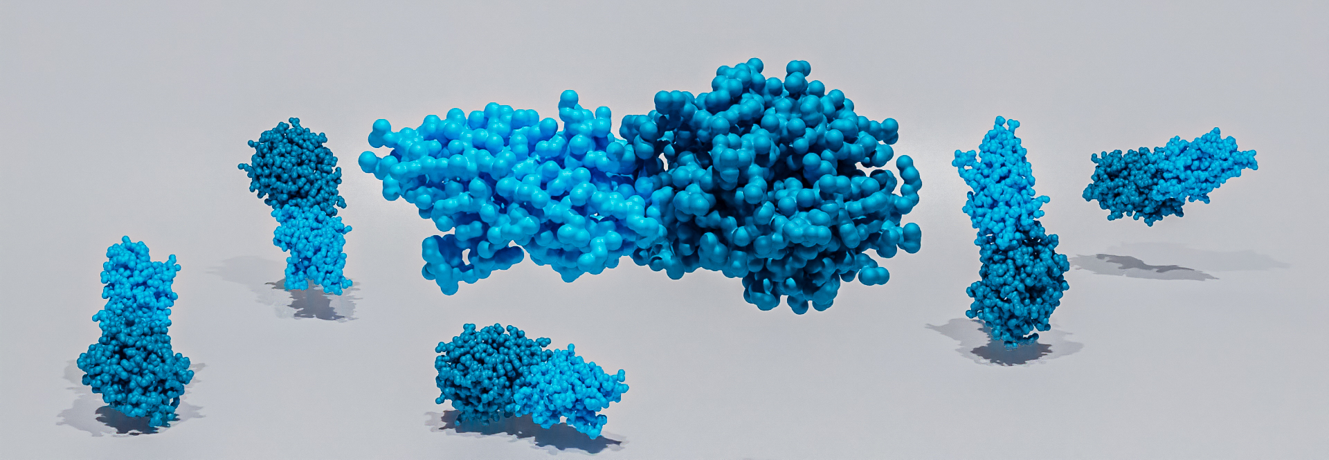 Nanobody characterization. 3D Render of nanobodies